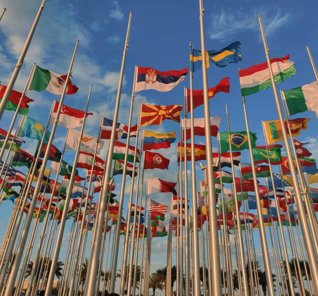 World Flags