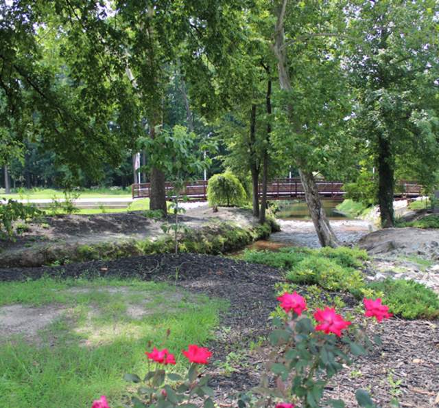 Festival Park