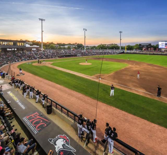 Fayetteville Woodpeckers Baseball: Bark in the Park
