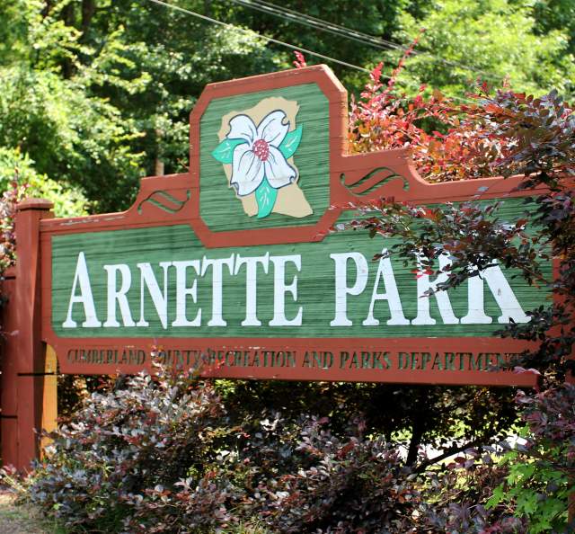 Disc Golf-Arnette Park