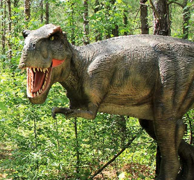 Sweet Valley Ranch's Dinosaur World