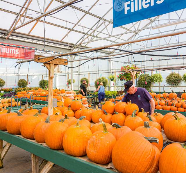 Bedner's Farm Market