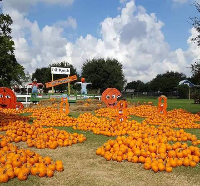 Houston Pumpkin Festival