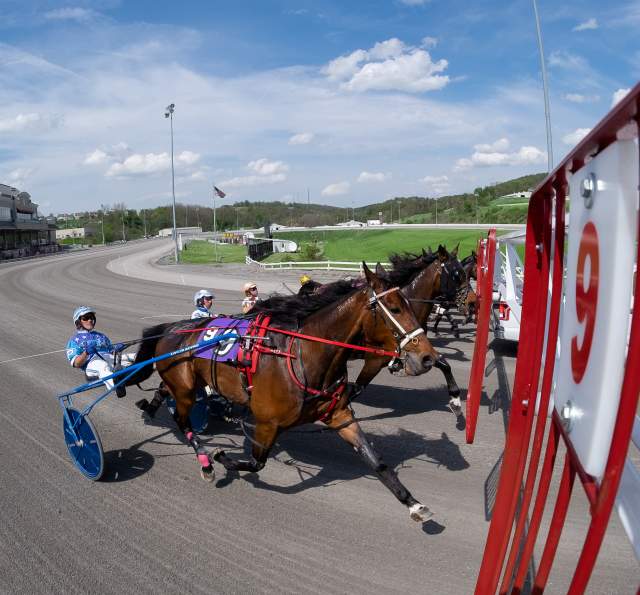 Hollywood Casino at The Meadows - Harness Racing