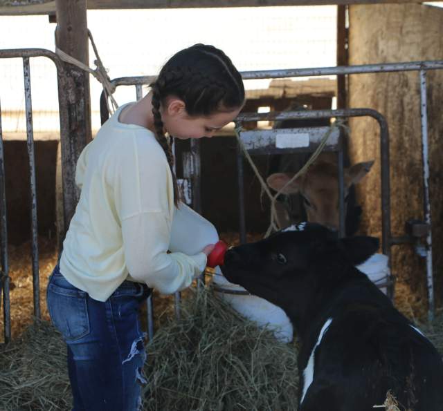 Springhouse Farm Heritage