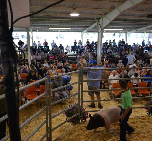 Washington County Agricultural Fair