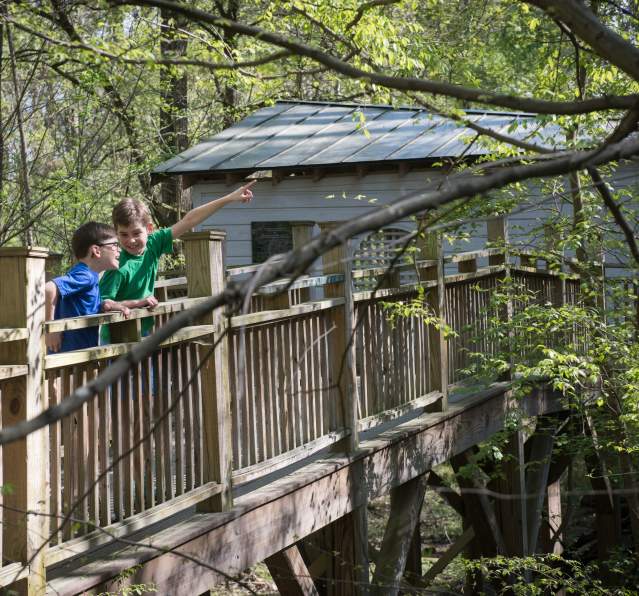 Dunwoody Nature Center 