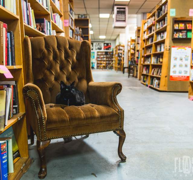 Bookstores in Pierce County: A Guide to New, Used, and Rare Finds (Updated August 2025)