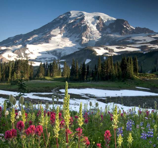First Timers Guide to Mt. Rainier