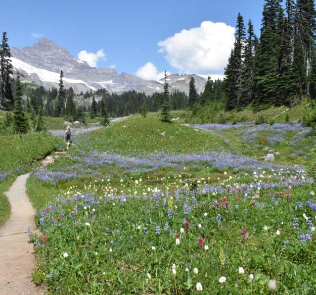 How to Not Ruin a Hike at Mount Rainier: Tips From A Veteran Ranger