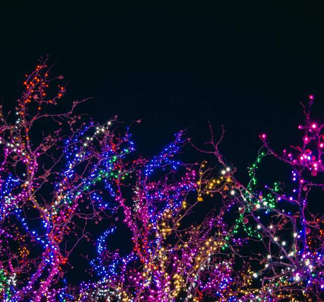 The 2025 Holiday Lights Guide