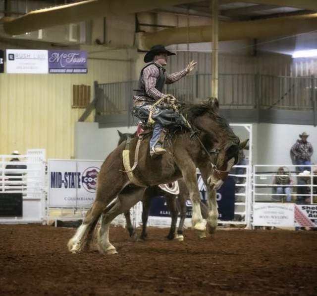 Shelby County Cattlemens Rodeo