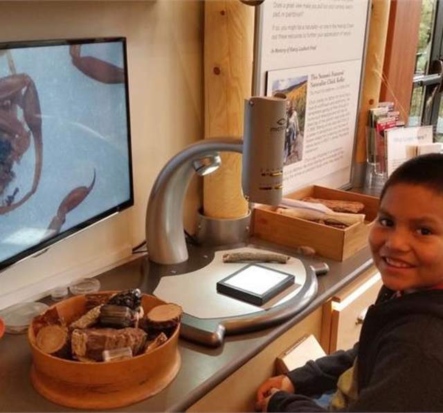 Lily's Learning Lab Makes Virtual Learning Possible While On Vacation -  Wilderness Resort