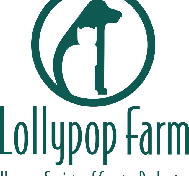 Rochester humane society sales