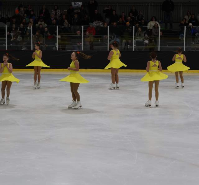 BSG Group Figure Skaters
