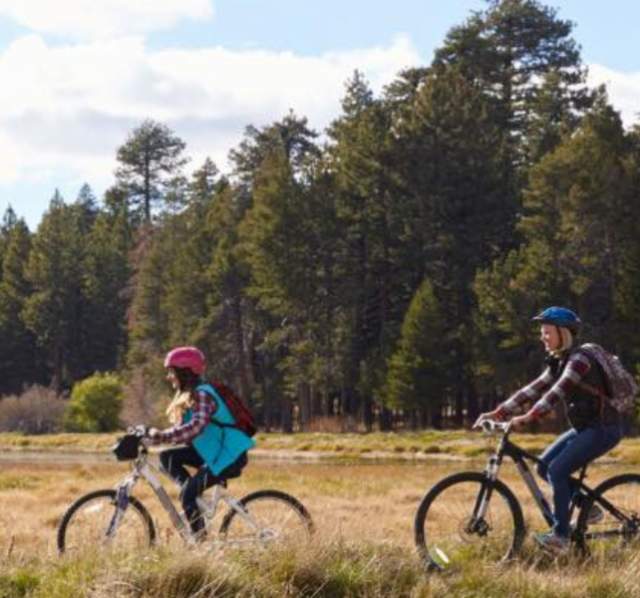 Family biking in outdoors