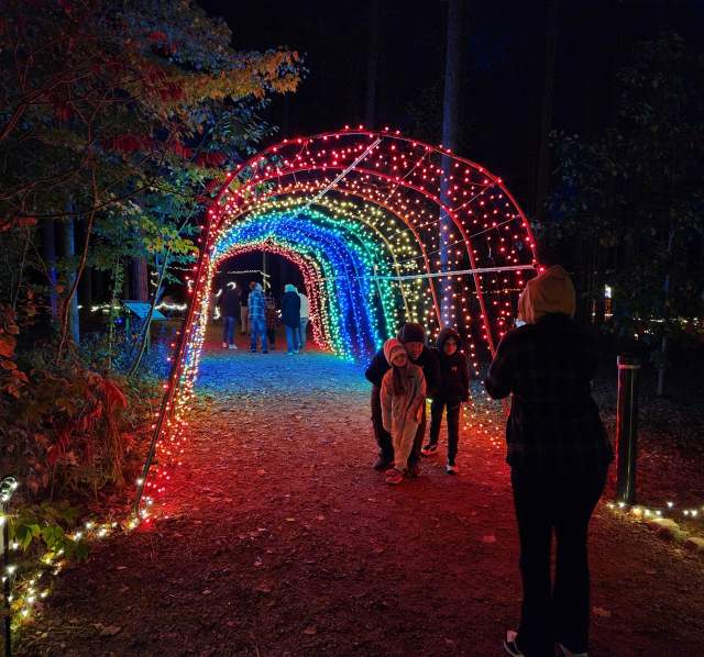 Monk Blossom of Lights