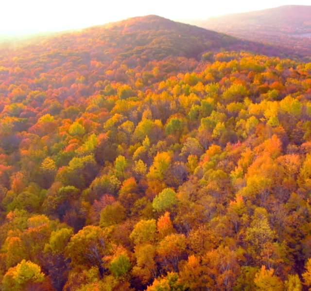 Rib Mountain Wausau Brilliant Fall Color