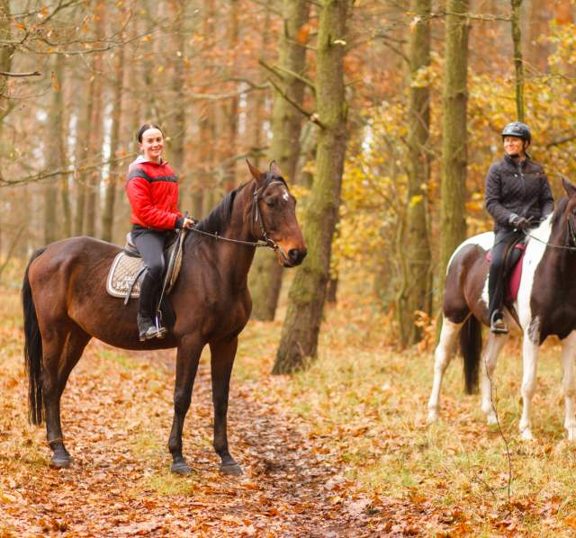 Trail Riding Horseback