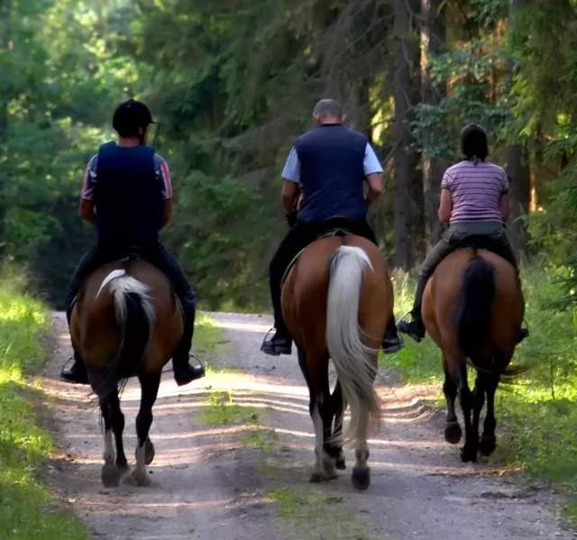 horseriding_thinkstock144283539-Header