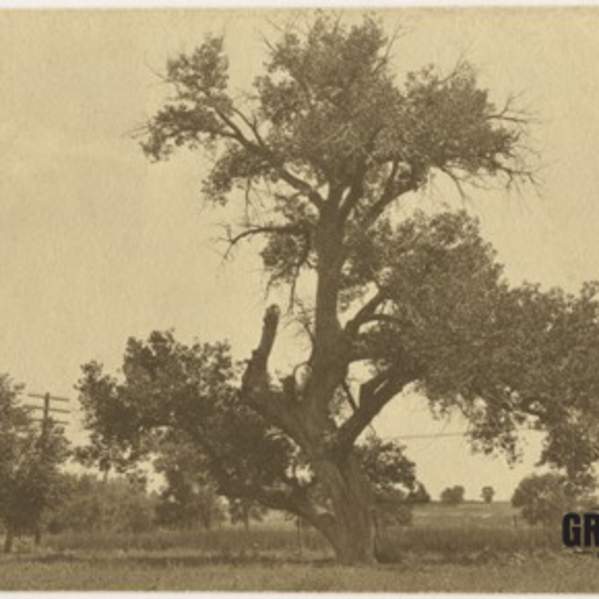 Greeley Stories: Remembering Shawsheen