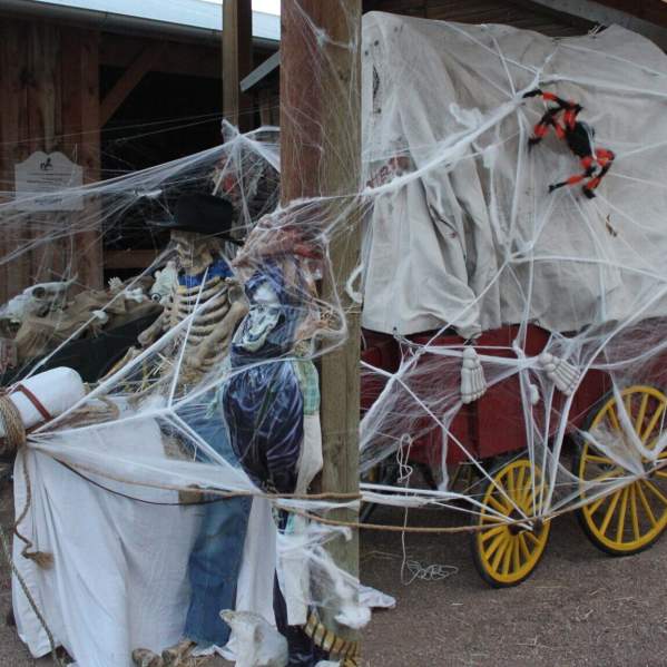 Fall Activities in Greeley, Colorado: Your Ultimate Guide to Fall Fun