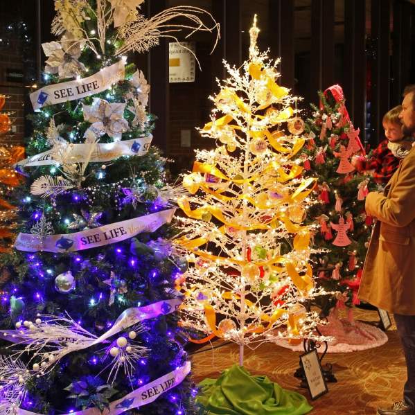 Things to Do in Greeley: Winter Revels and Holiday Events in Greeley, Colorado