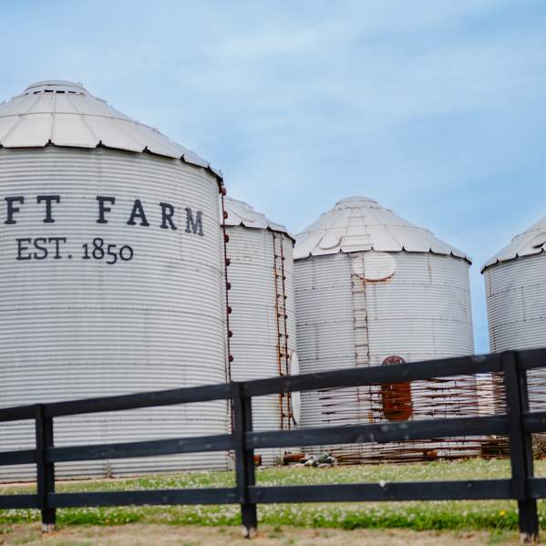 Discover Clift Farm in Madison County
