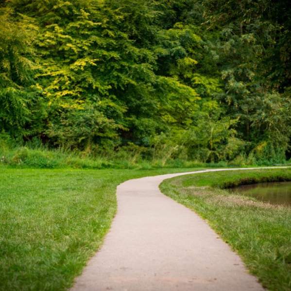 A path with trees in the background in Hubbard's Hills, Louth.