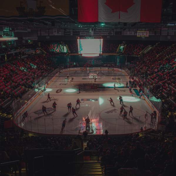 TOP 10 THINGS TO DO IN AND AROUND MONCTON-DIEPPE IN NOVEMBER