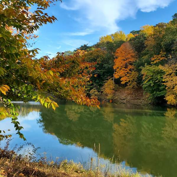 Morgan County Spots for Fall Color
