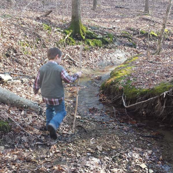 Hiking in Morgan-Monroe State Forest