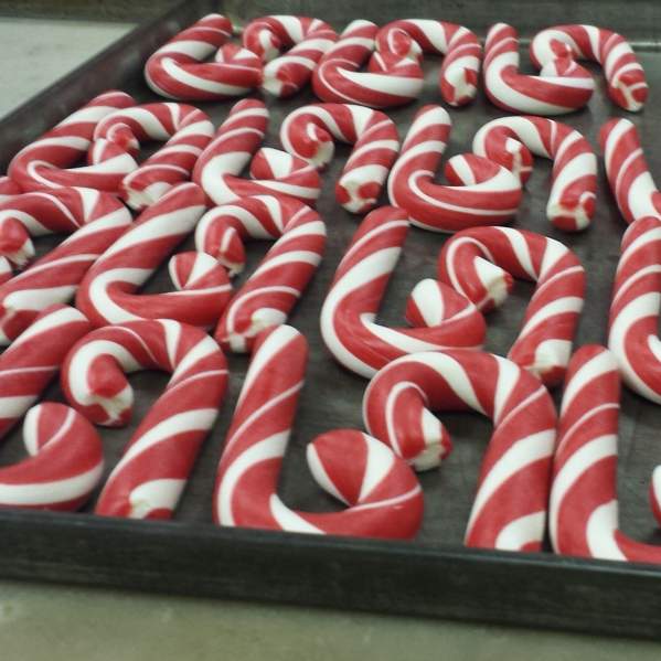 Candy Cane FAQs