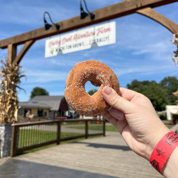 Apple Cider Donut