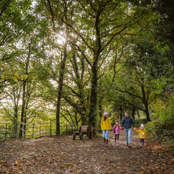 Get out and enjoy February in Swansea Bay!