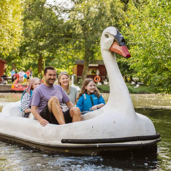 Family riding a swan pedalo in singleton park