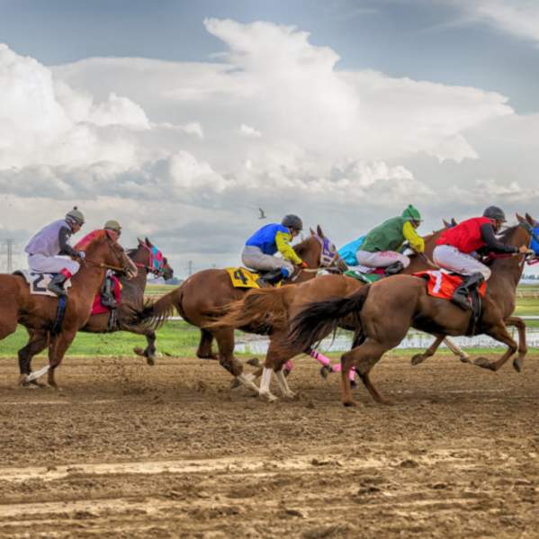 Horse Racing