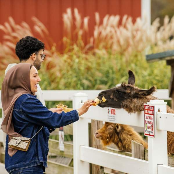 Wiard's Orchards and Country Fair