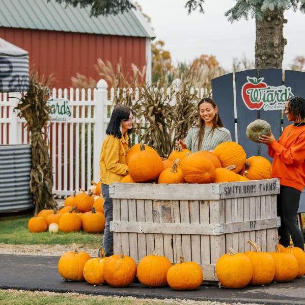 Wiard's Orchards and Country Fair
