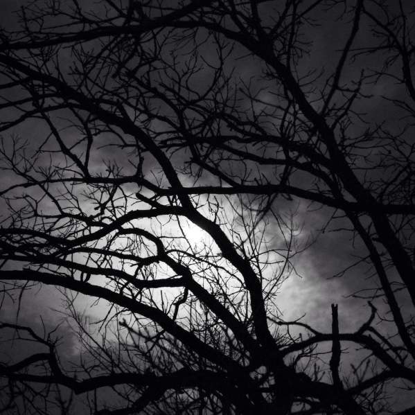 Haunted Farm