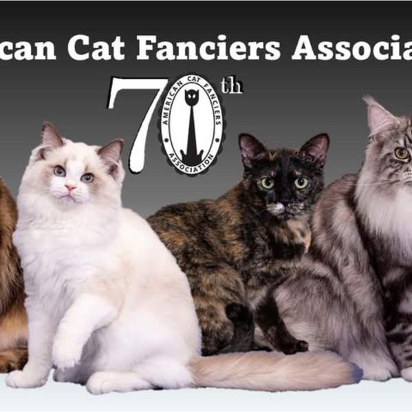 ACFA Championship & Household Pet Cat Show