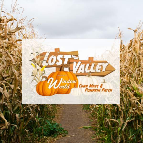 Lost in the Valley