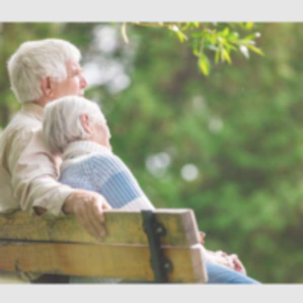 Grief Support Group for Adults