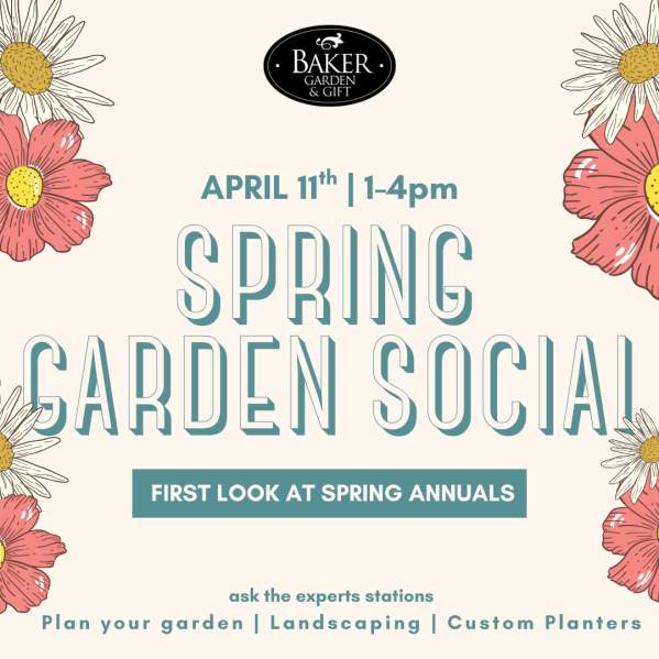 Spring Garden Social