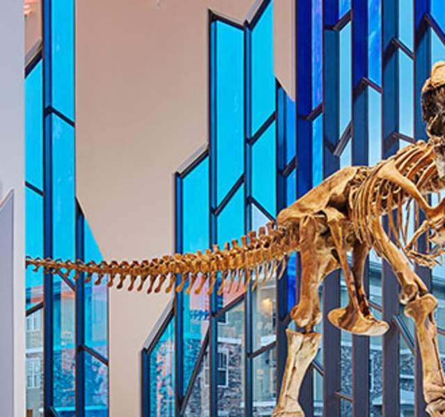 Take-a-Vacation-to-See-the-T-Rex-at-The-Museum-at-Prairiefire-in-Overland-Park