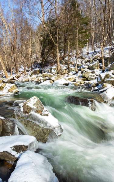 Winter Fresh