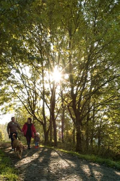 5 Hidden and Quiet Trails To Discover Around Greater Manchester