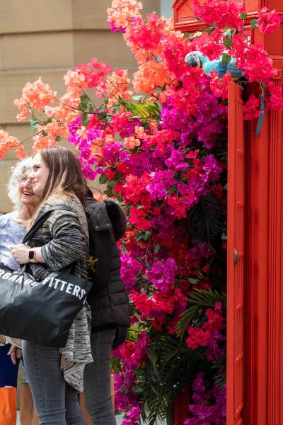 Your Manchester Flower Festival Itinerary