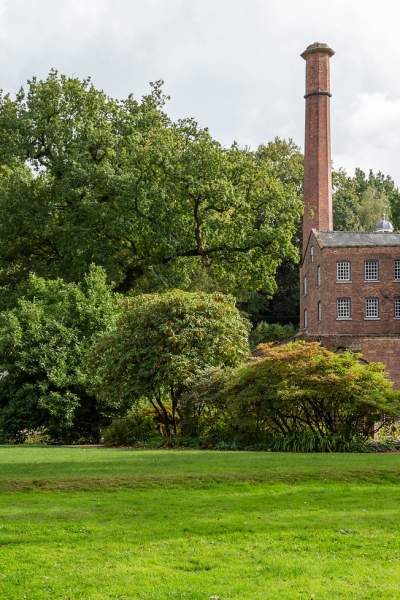 Unearthing the Rare and Unusual Plants of Quarry Bank and Dunham Massey Gardens
