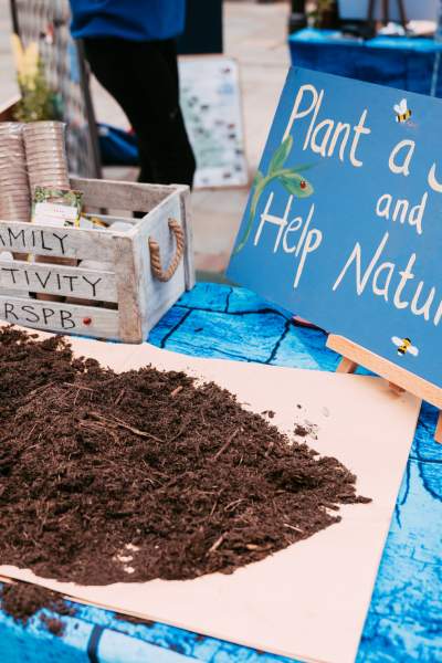 Get Creative at The Manchester Flower Festival - Your Workshop Guide